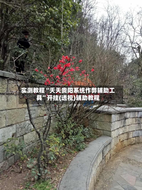 实测教程“天天贵阳系统作弊辅助工具”开挂(透视)辅助教程