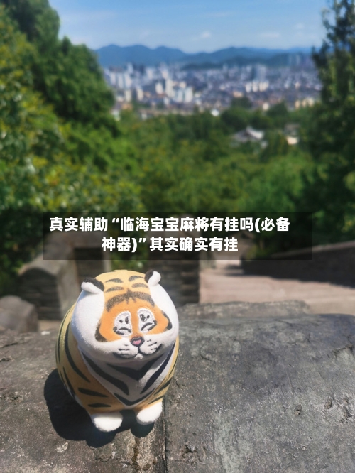 真实辅助“临海宝宝麻将有挂吗(必备神器)	”其实确实有挂-第2张图片