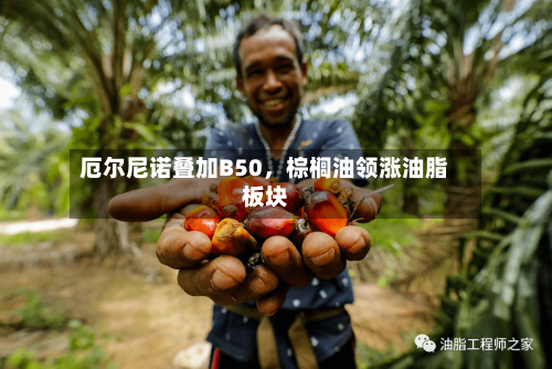 厄尔尼诺叠加B50，棕榈油领涨油脂板块