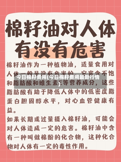 今日棉籽费用(今日棉籽费用最新行情)-第2张图片