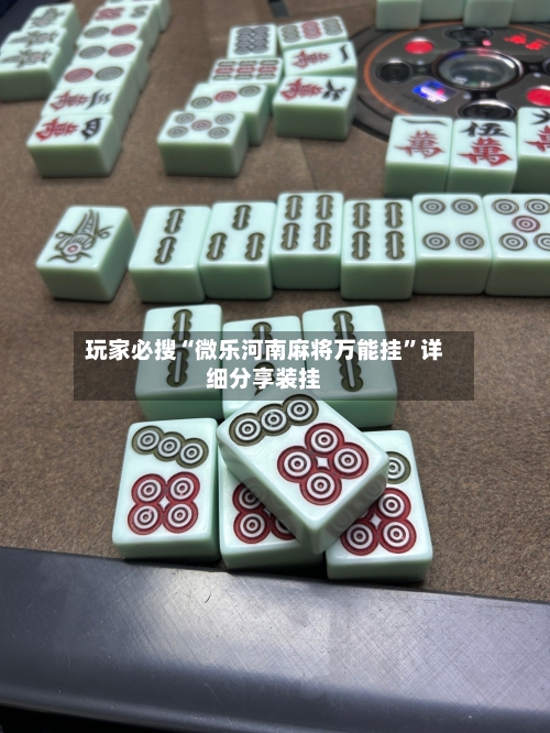 玩家必搜“微乐河南麻将万能挂”详细分享装挂