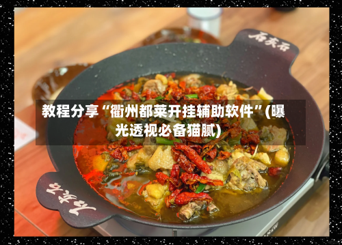 教程分享“衢州都莱开挂辅助软件”(曝光透视必备猫腻)