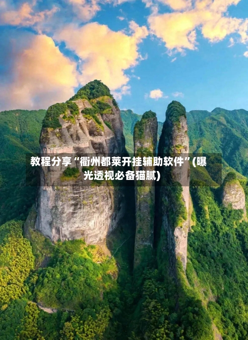 教程分享“衢州都莱开挂辅助软件”(曝光透视必备猫腻)-第2张图片