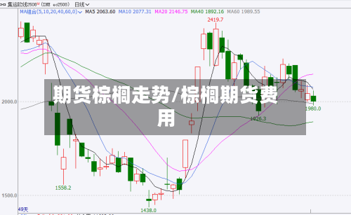 期货棕榈走势/棕榈期货费用-第2张图片
