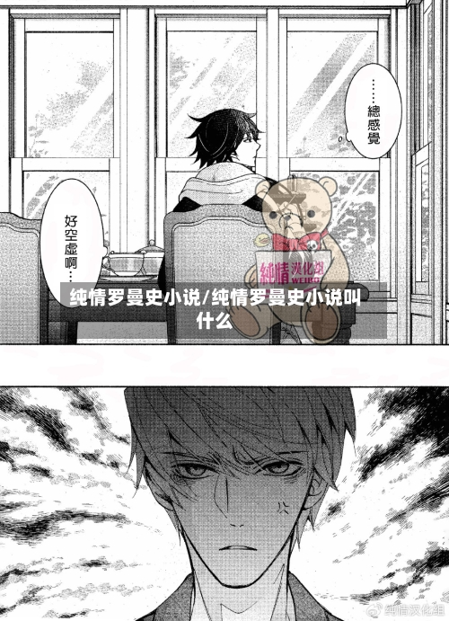 纯情罗曼史小说/纯情罗曼史小说叫什么-第2张图片