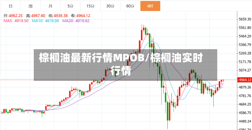 棕榈油最新行情MPOB/棕榈油实时行情