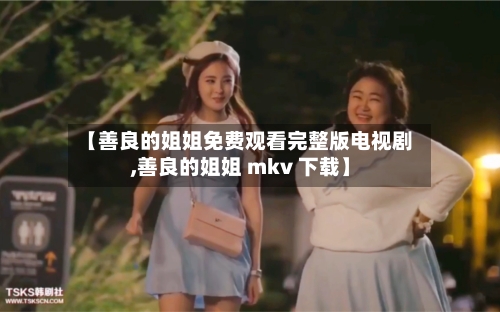 【善良的姐姐免费观看完整版电视剧,善良的姐姐 mkv 下载】-第3张图片