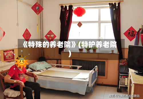 《特殊的养老院》(特护养老院)