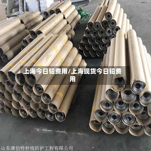 上海今日铅费用/上海现货今日铅费用-第3张图片