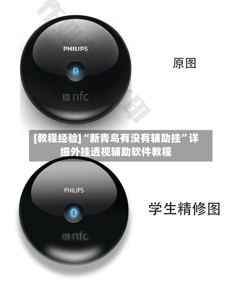 [教程经验]“新青鸟有没有辅助挂”详细外挂透视辅助软件教程-第2张图片