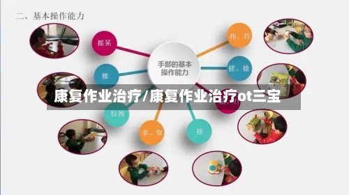 康复作业治疗/康复作业治疗ot三宝