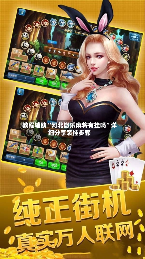 教程辅助“河北微乐麻将有挂吗”详细分享装挂步骤