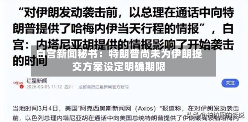 白宫新闻秘书：特朗普尚未为伊朗提交方案设定明确期限