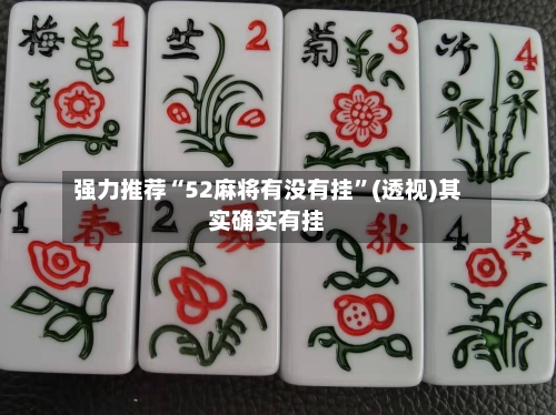 强力推荐“52麻将有没有挂”(透视)其实确实有挂-第2张图片