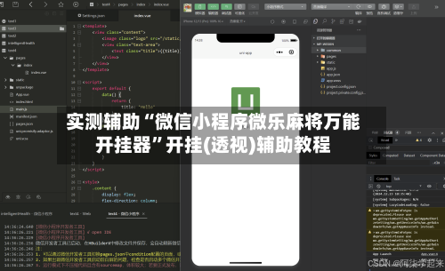 实测辅助“微信小程序微乐麻将万能开挂器”开挂(透视)辅助教程-第2张图片