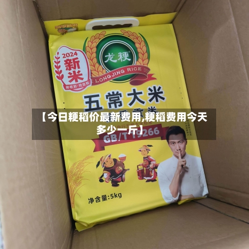 【今日粳稻价最新费用,粳稻费用今天多少一斤】