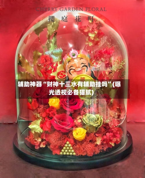 辅助神器“财神十三水有辅助挂吗”(曝光透视必备猫腻)-第3张图片