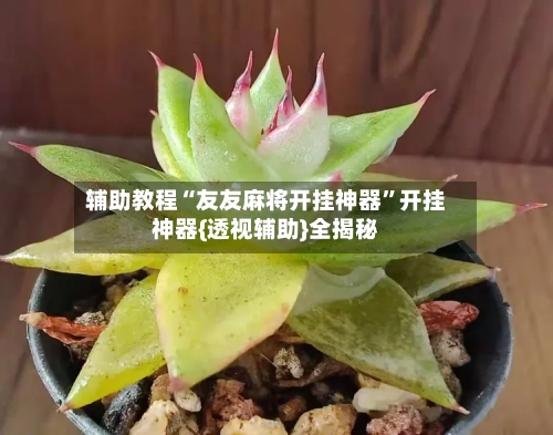 辅助教程“友友麻将开挂神器”开挂神器{透视辅助}全揭秘