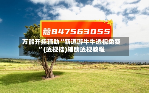 万能开挂辅助“新道游牛牛透视免费”(透视挂)辅助透视教程-第3张图片