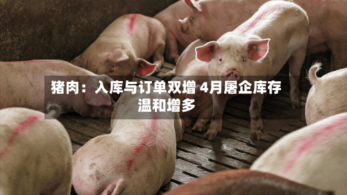 猪肉：入库与订单双增 4月屠企库存温和增多-第2张图片