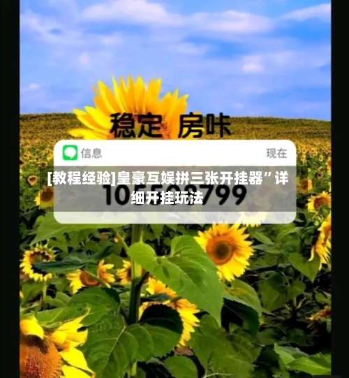 [教程经验]皇豪互娱拼三张开挂器”详细开挂玩法-第2张图片