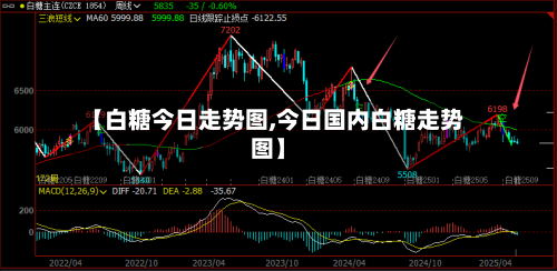 【白糖今日走势图,今日国内白糖走势图】