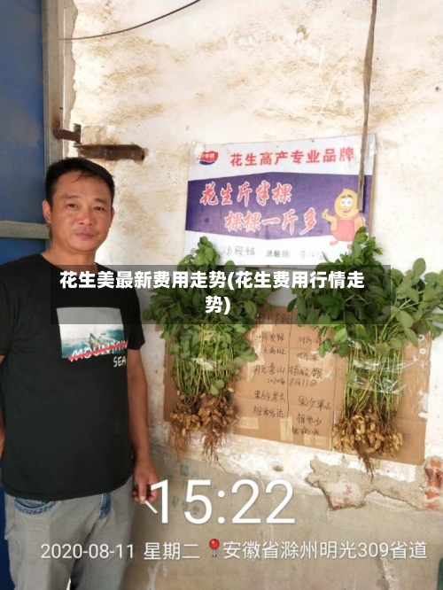 花生美最新费用走势(花生费用行情走势)-第2张图片