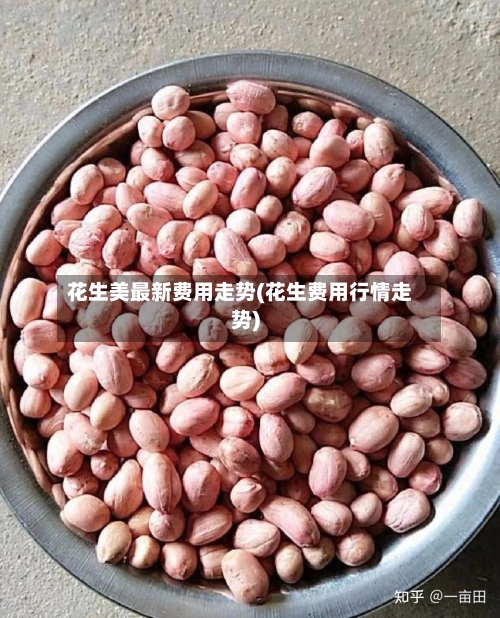 花生美最新费用走势(花生费用行情走势)