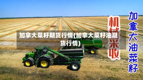 加拿大菜籽期货行情(加拿大菜籽油期货行情)