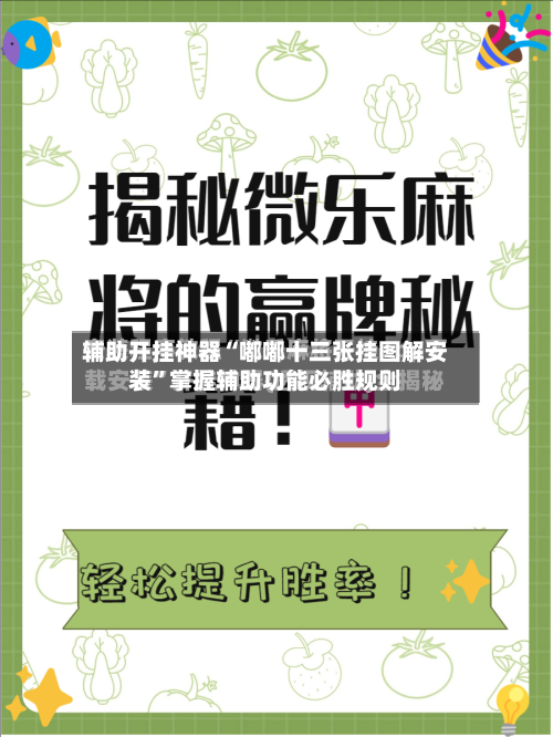 辅助开挂神器“嘟嘟十三张挂图解安装”掌握辅助功能必胜规则