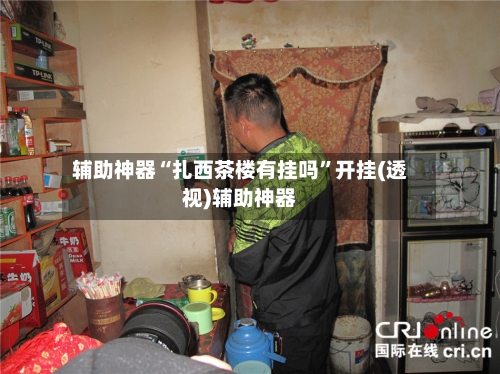 辅助神器“扎西茶楼有挂吗”开挂(透视)辅助神器-第3张图片