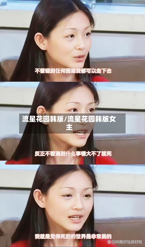 流星花园韩版/流星花园韩版女主