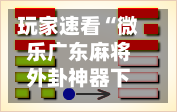 玩家速看“微乐广东麻将外卦神器下载”详细分享装挂步骤
