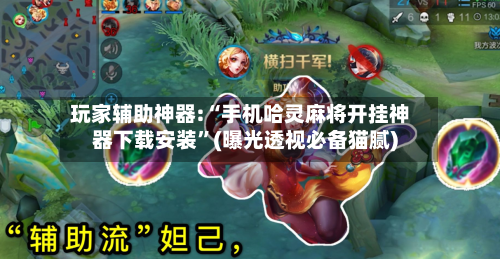 玩家辅助神器:“手机哈灵麻将开挂神器下载安装”(曝光透视必备猫腻)-第3张图片