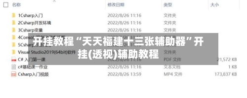 开挂教程“天天福建十三张辅助器”开挂(透视)辅助教程-第2张图片