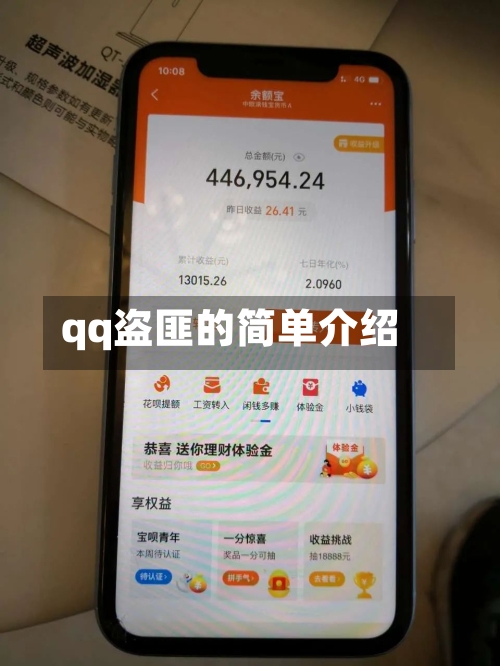 qq盗匪的简单介绍