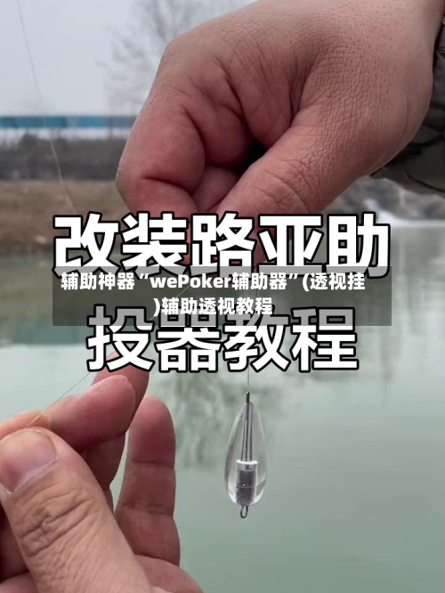 辅助神器“wePoker辅助器	”(透视挂)辅助透视教程-第2张图片