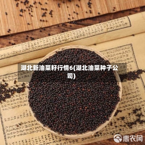 湖北新油菜籽行情6(湖北油菜种子公司)-第2张图片