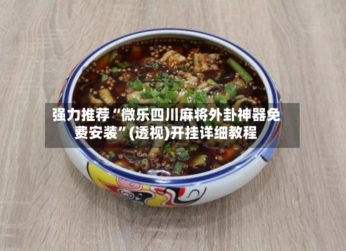 强力推荐“微乐四川麻将外卦神器免费安装”(透视)开挂详细教程-第3张图片