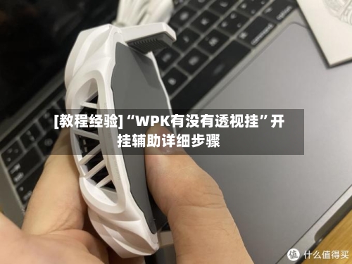[教程经验]“WPK有没有透视挂	”开挂辅助详细步骤-第3张图片