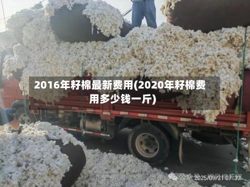 2016年籽棉最新费用(2020年籽棉费用多少钱一斤)-第2张图片