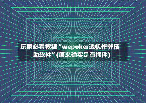 玩家必看教程“wepoker透视作弊辅助软件	”(原来确实是有插件)-第2张图片