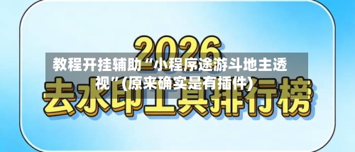 教程开挂辅助“小程序途游斗地主透视”(原来确实是有插件)-第2张图片