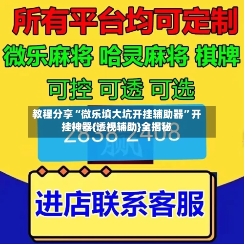 教程分享“微乐填大坑开挂辅助器	”开挂神器{透视辅助}全揭秘-第2张图片