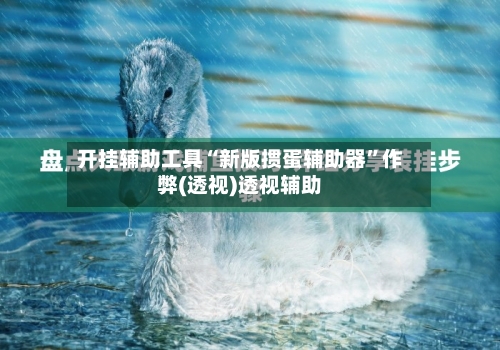 开挂辅助工具“新版掼蛋辅助器”作弊(透视)透视辅助