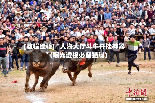 [教程经验]“人海大厅斗牛开挂神器”(曝光透视必备猫腻)-第2张图片