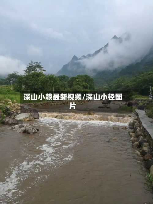 深山小赖最新视频/深山小径图片