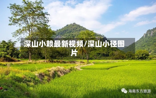 深山小赖最新视频/深山小径图片-第2张图片