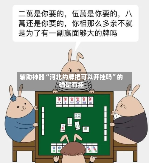 辅助神器“河北约牌把可以开挂吗”的确是有挂-第2张图片