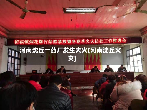 河南沈丘一药厂发生大火(河南沈丘火灾)